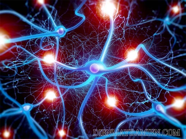 Rối loạn lưỡng cực có thể do mất cân bằng chất dẫn truyền thần kinh