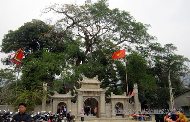 Hình ảnh cây cổ thụ thờ danh tướng Nùng Chí Cao ở Cao Bằng