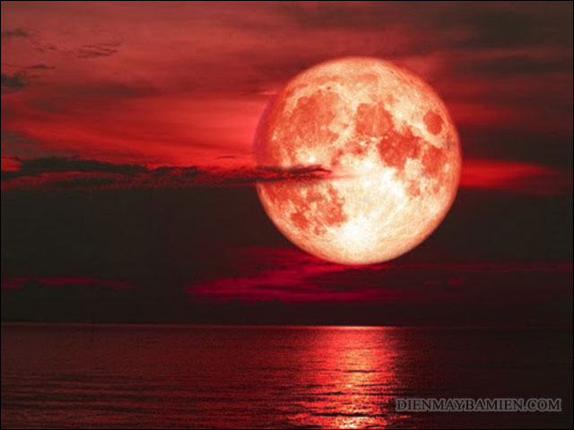 Tìm hiểu sự thật về hiện tượng siêu trăng máu là điềm báo gì cho nhân loại